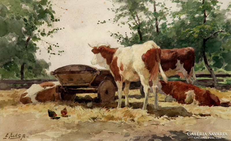 Cows grazing in the yard of Illés Edvi (1870-1958). yard resting poultry yard
