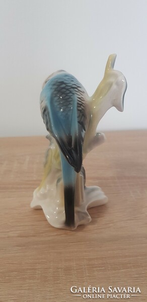 Parrot porcelain