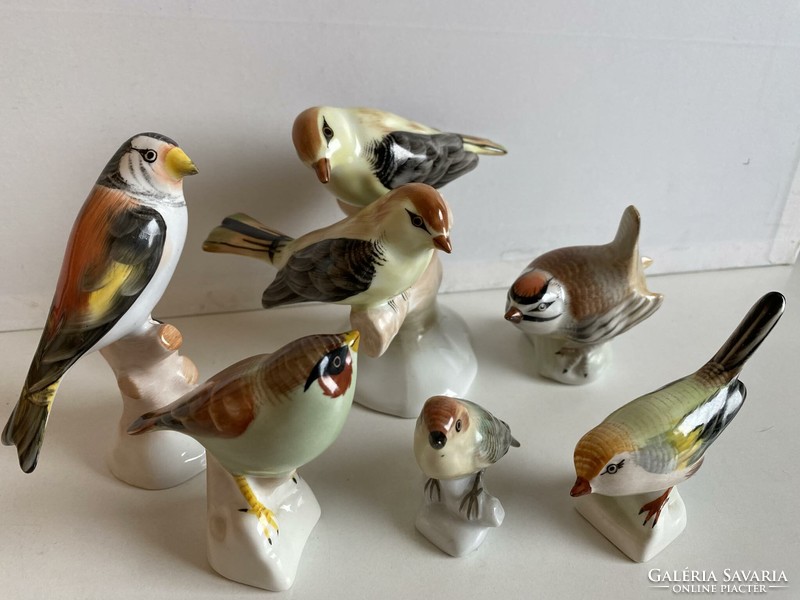 6 Aquincum porcelain bird figurines + 1 raven house gift