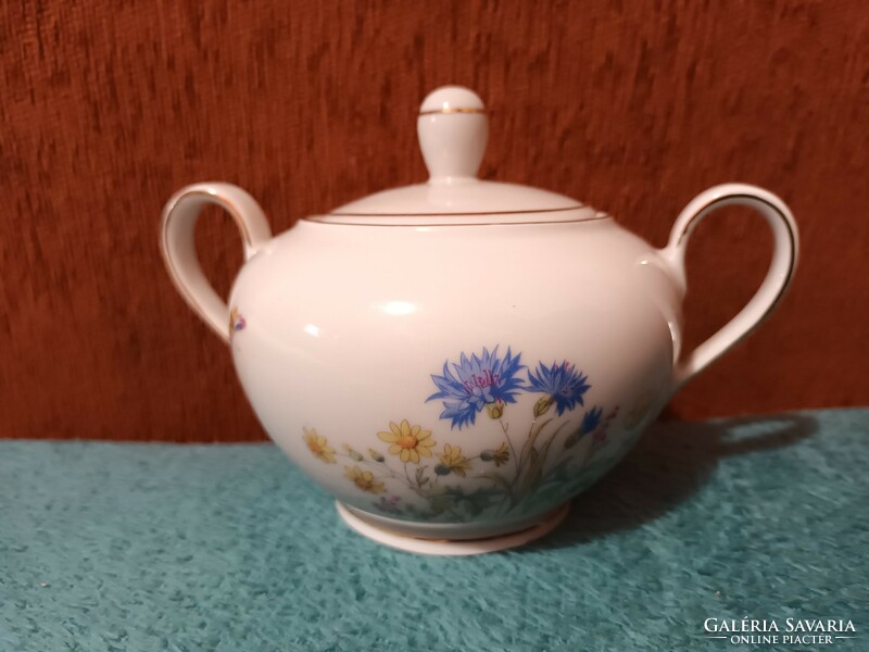 Beautiful Kahla German porcelain sugar bowl with a flower pattern and butterfly