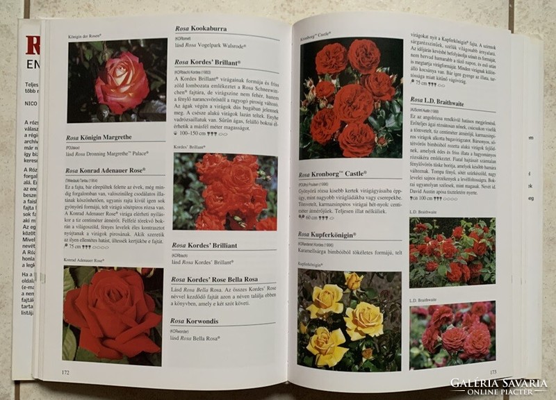 Nico vermeulen: encyclopedia of roses