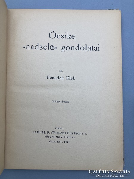 Benedek elek ( (1859–1929): thoughts of his younger brother 