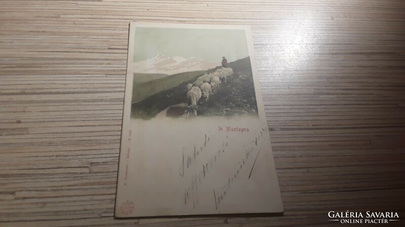 Antique postcard.