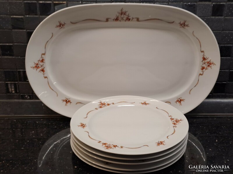 Retro lowland porcelain rosehip cookie serving set bowl plate