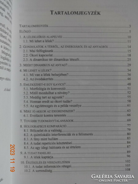 Kisfaludy György: A lélek zengése - a dinamikus hullámgeometria tükrében