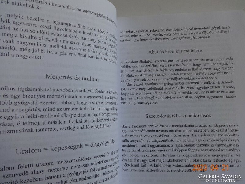 Leon Chaitow: Holisztikus ​fájdalomcsillapítás - az antibiotikummentes fájdalomcsillapítás módszerei