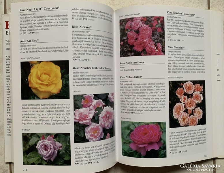 Nico vermeulen: encyclopedia of roses