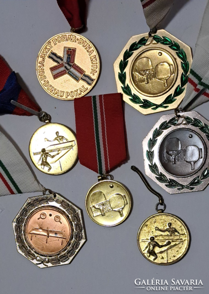7 sports medals in one (t-6)