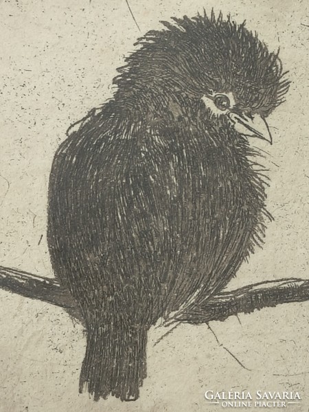 Bird etching