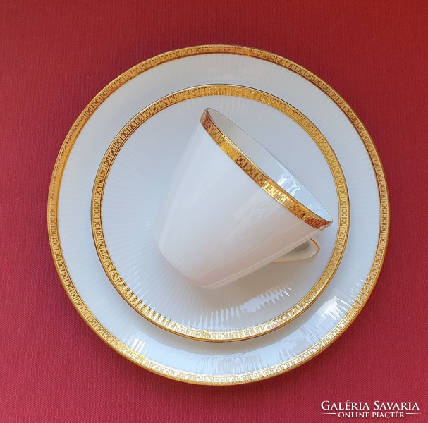 Seltmann weiden bavaria german porcelain breakfast set coffee tea cup saucer small plate gold