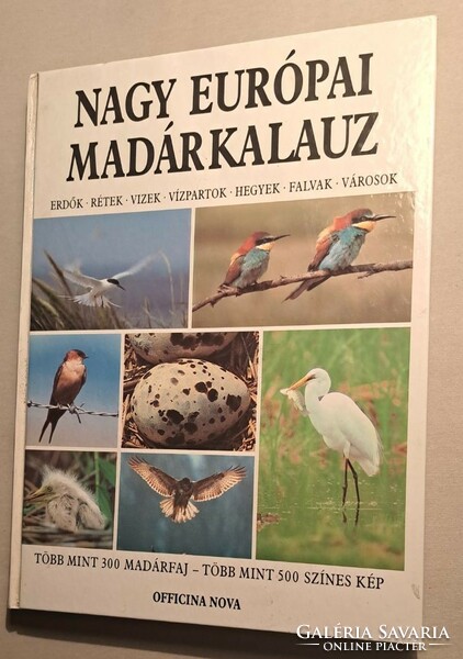 Great European bird guide.