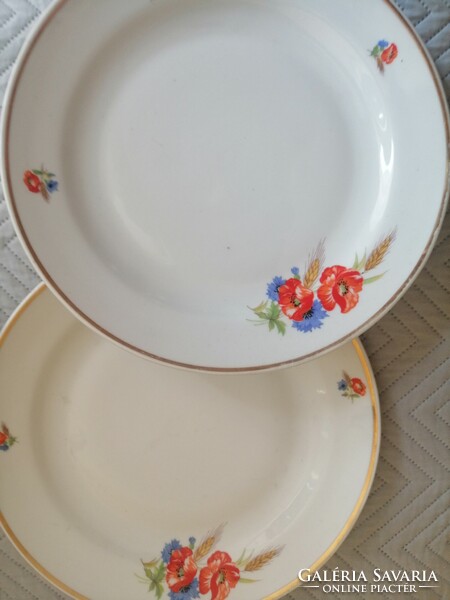 Pair of Zsolnay poppy plates