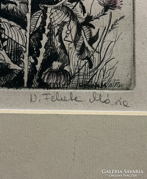 Mária N. Fekete (1942- ) thistle (etching in original frame) /invoice provided/