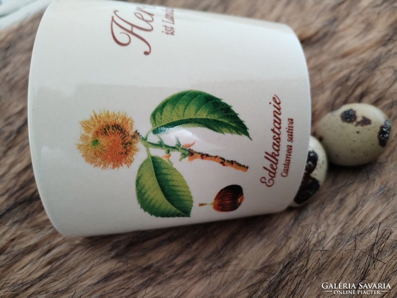 Herbal - English ceramic cup / in the spirit of nature