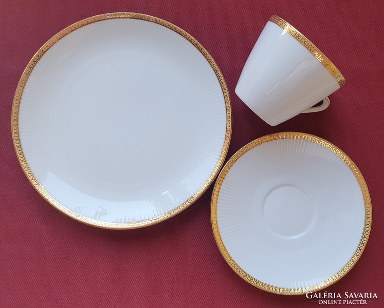 Seltmann weiden bavaria german porcelain breakfast set coffee tea cup saucer small plate gold