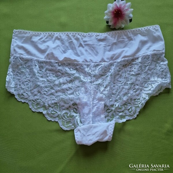 Large, traditional style elastic lace panties