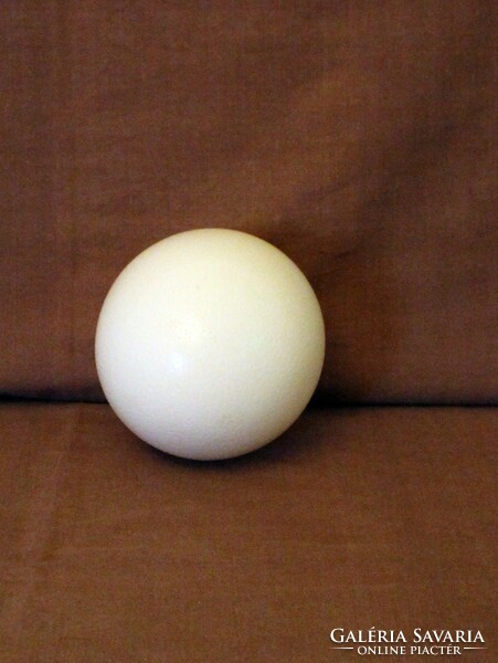 Drilled ostrich egg