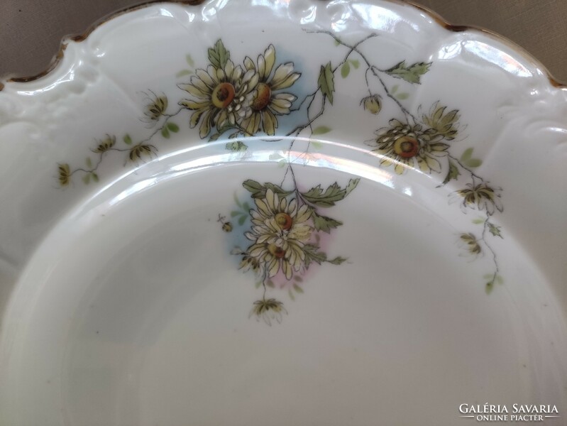 Art Nouveau porcelain cake set pls vienna