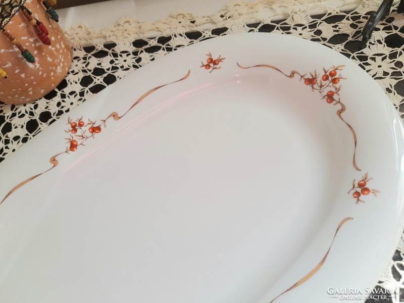 Larger serving bowl with Alföldi rosehips