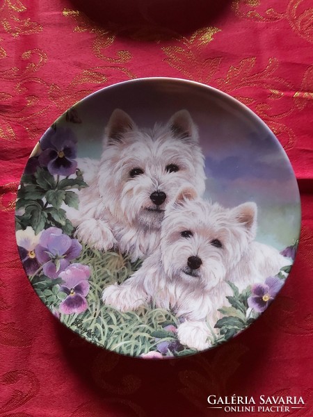 Angol fali  porcelán dísztányér aranyos Westie kutyusokkal- Vitrin állapotban