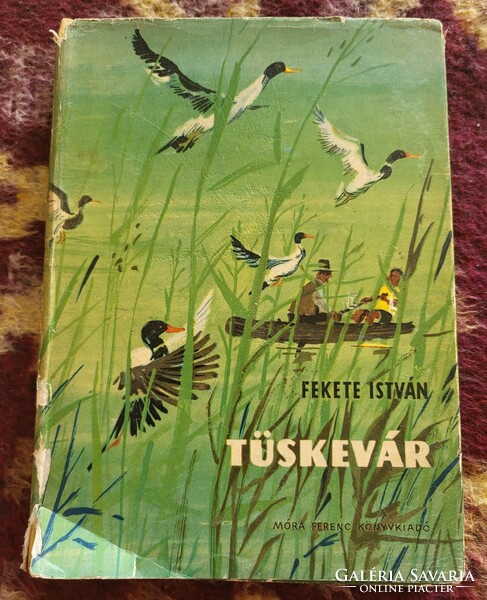 Fekete István: Tüskevár (1970)