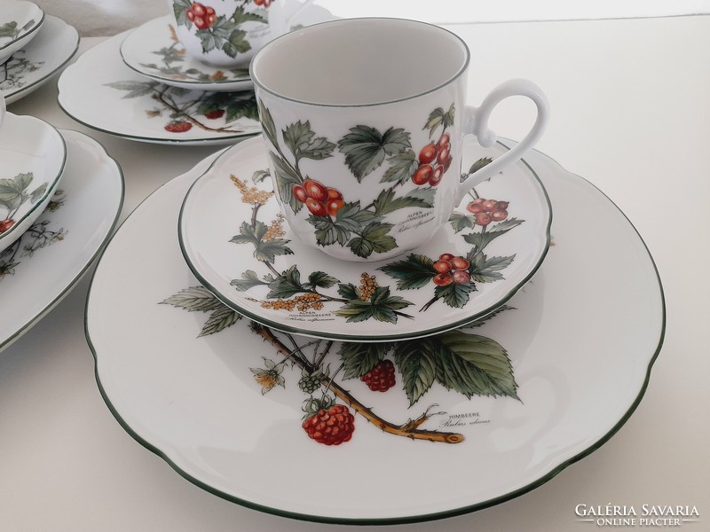 Bavaria seltmann waldbeere botanical pattern, blackberry pattern breakfast set, 4 pieces in one