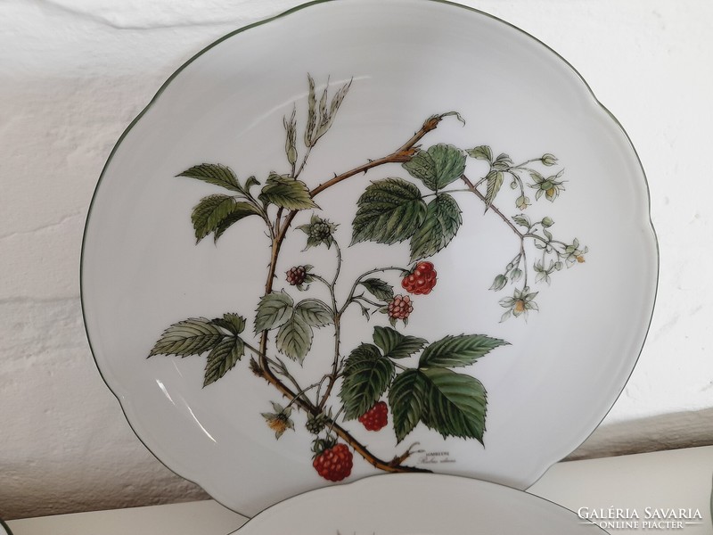 Bavaria seltmann waldbeere small plates with botanical pattern, blackberry pattern, 6 in one