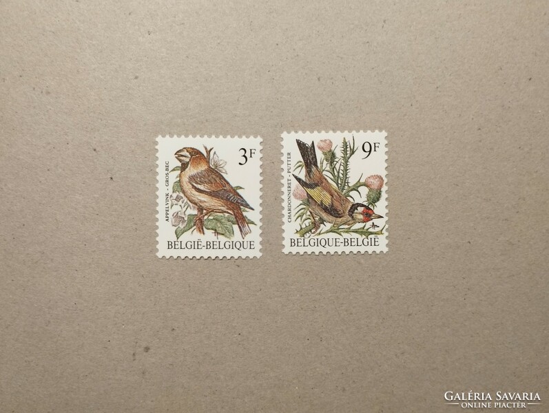 Belgium fauna, birds 1985
