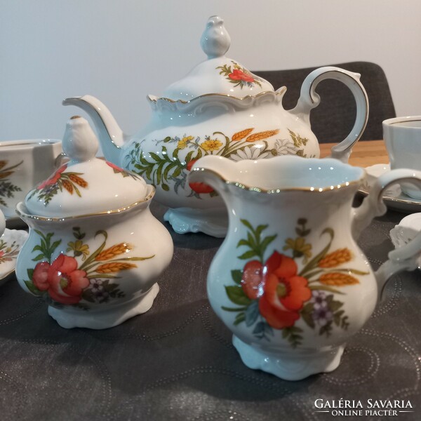 Mitterteich Bavarian German 6-person tea set for sale.