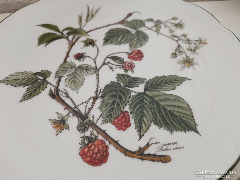 Bavaria seltmann waldbeere small plates with botanical pattern, blackberry pattern, 6 in one