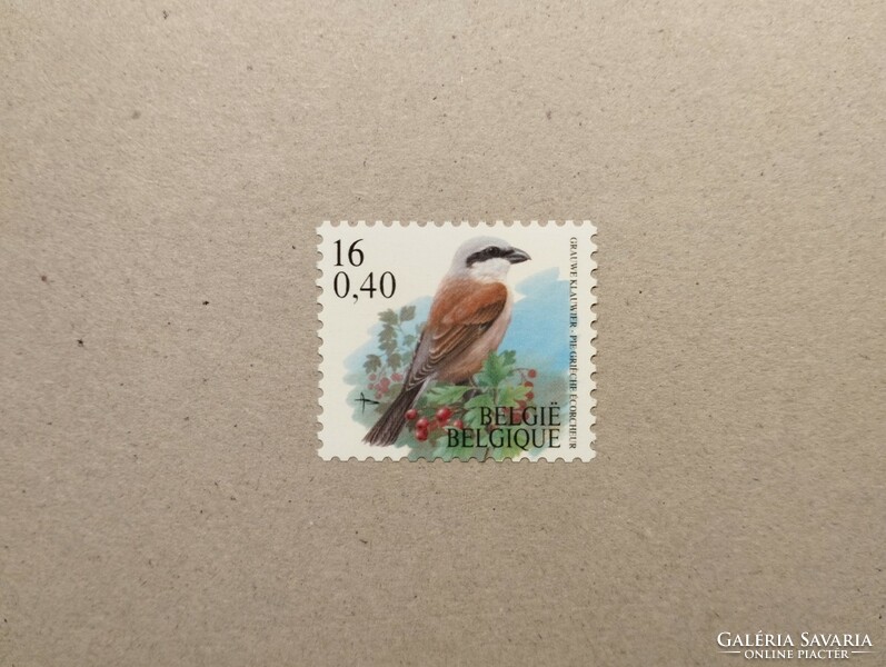 Belgium-Fauna, Madarak 2000