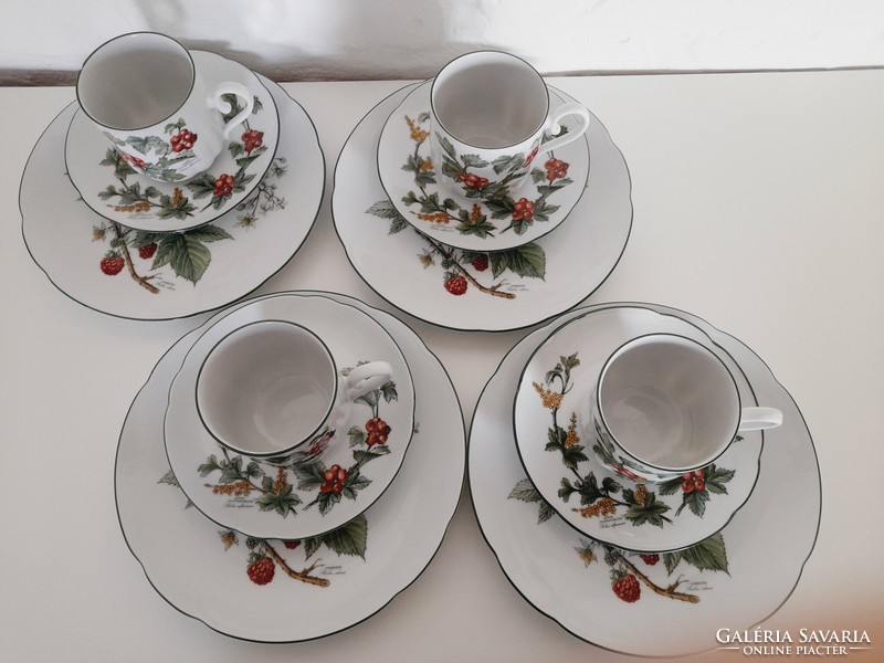 Bavaria seltmann waldbeere botanical pattern, blackberry pattern breakfast set, 4 pieces in one