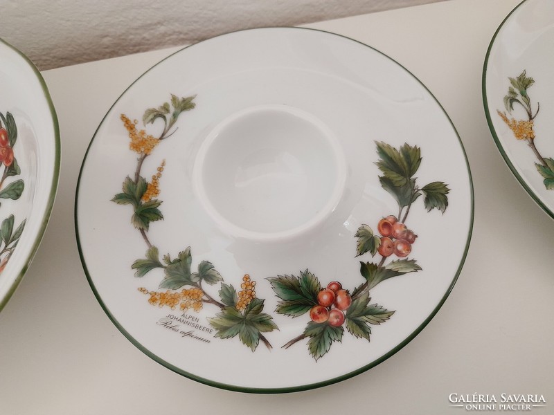 Bavaria seltmann waldbeere with botanical pattern, 2 plates, 2 egg holders, 2 muesli bowls in one