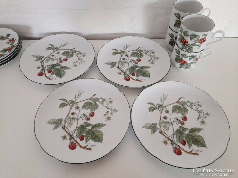 Bavaria seltmann waldbeere botanical pattern, blackberry pattern breakfast set, 4 pieces in one