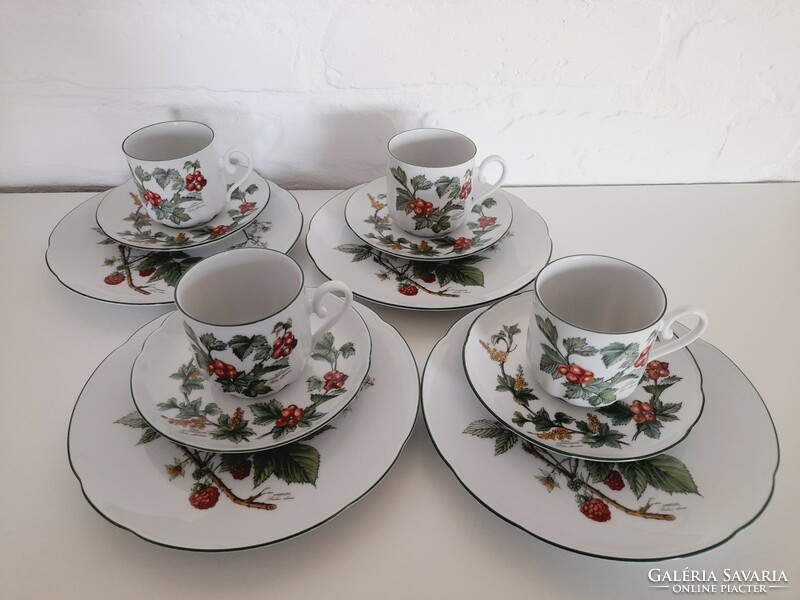 Bavaria seltmann waldbeere botanical pattern, blackberry pattern breakfast set, 4 pieces in one