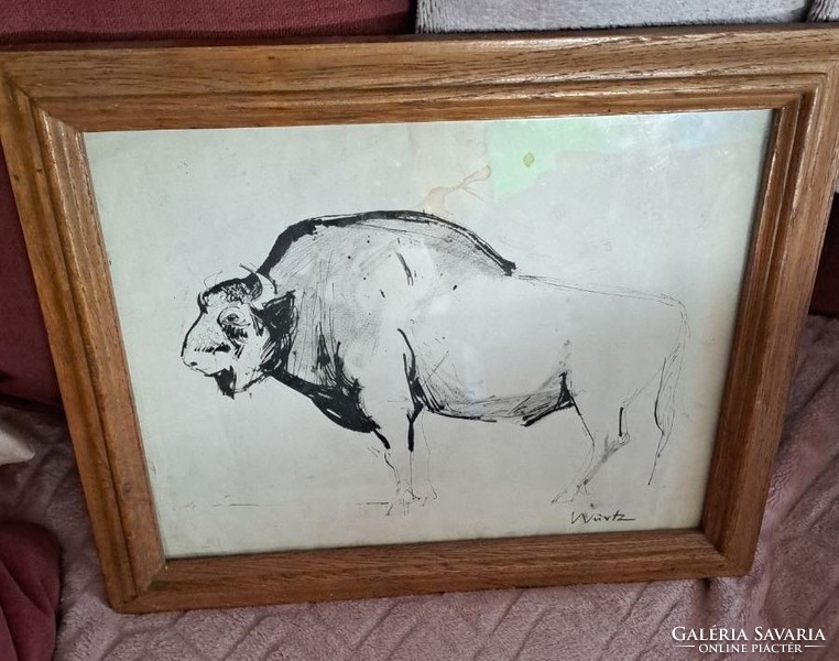 Ádám Würtz (1927 - 1994) bison (ink drawing) size: 37x30 cm. With glazed frame.