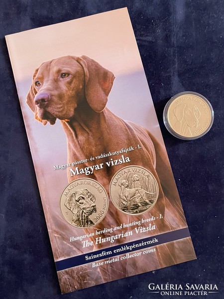 Hungarian Vizsla HUF 2000 2019 unc