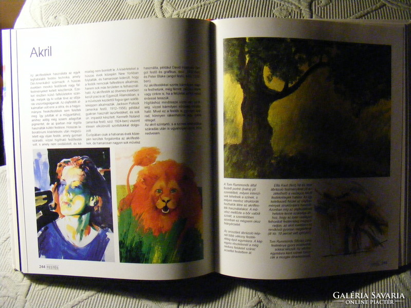 Rajzolás és festés -  Nagy kézikönyv - Brian Bagnall