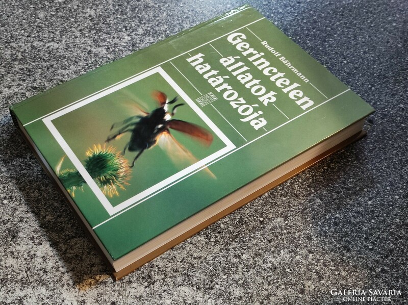 Rudolf Bährmann: dictionary of invertebrates. Mezőgazda publisher. 2000.