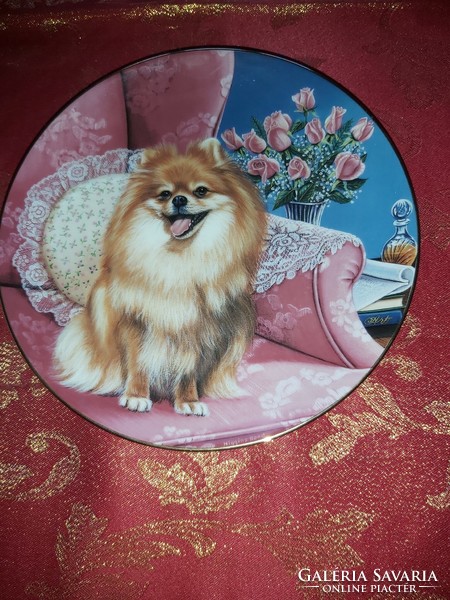 English porcelain decorative plate with a cute miniature pizzeria dog - in display case