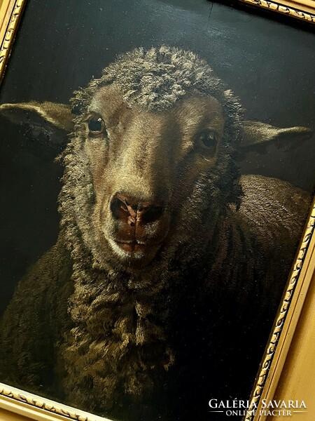 Béla Pállik (1845-1908) sheep portrait