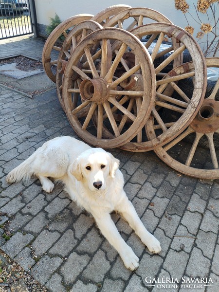 Bullet cart wheels - from the middle of the last century / 8 pcs.