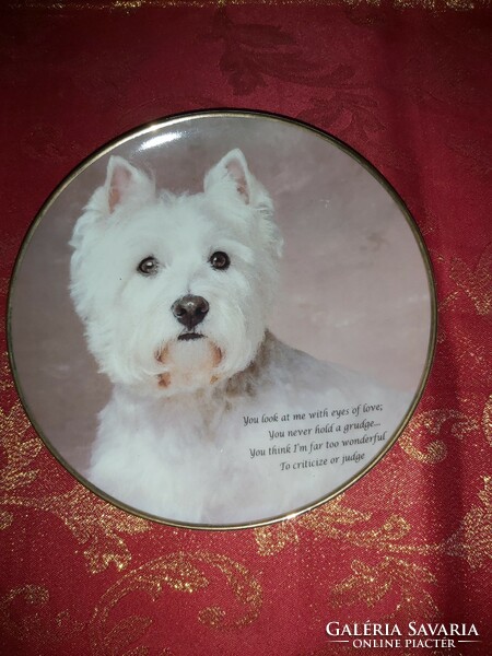 English porcelain decorative plate with a cute westie dog - in display case