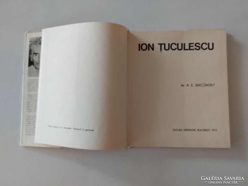 Művészeti album régi könyv Ion Tuculescu