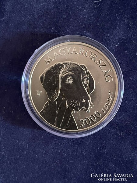 Hungarian Vizsla HUF 2000 2019 unc