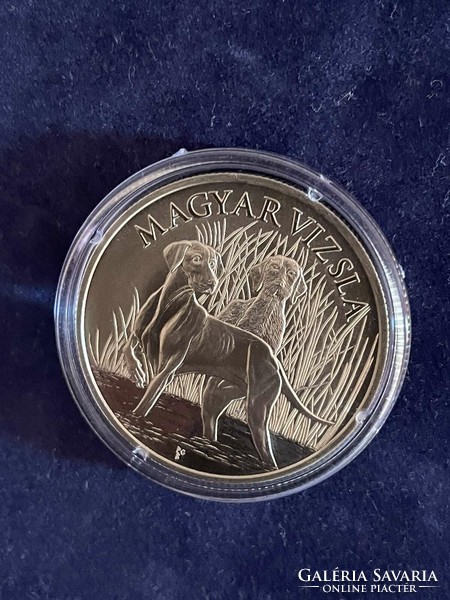 Hungarian Vizsla HUF 2000 2019 unc