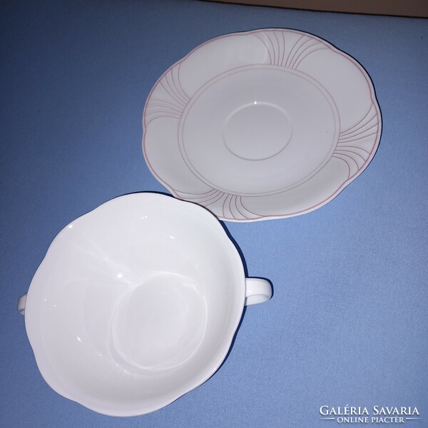 Villeroy&boch 2-handled cup + saucer/tea set/