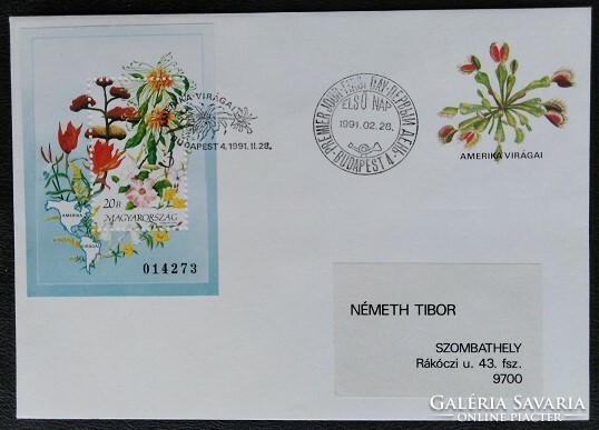 Ff4082 / 1991 flowers of continents ii. - America block ran on fdc