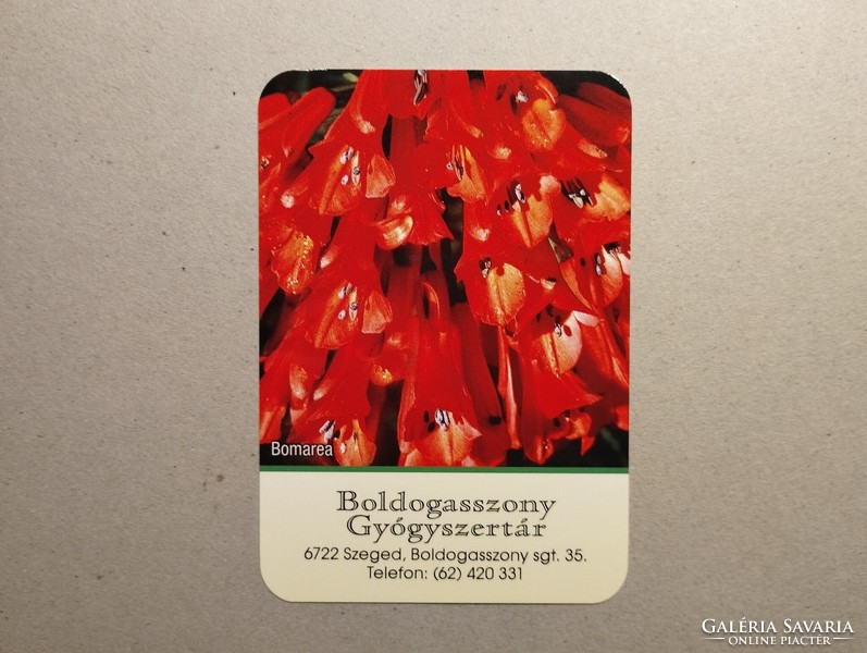 Hungary, card calendar v. - Boldogasszony pharmacy 2024