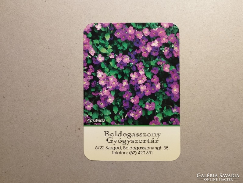 Hungary, card calendar vi. - Boldogasszony pharmacy 2024
